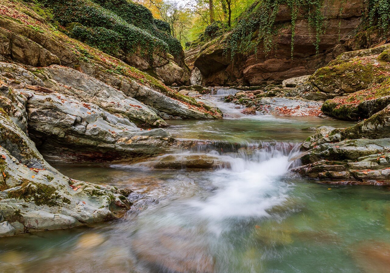 Дендрарий канатка. Г. Сочи адлер горы. Пригород большого сочи 3. Вилла надежда дендрарий.